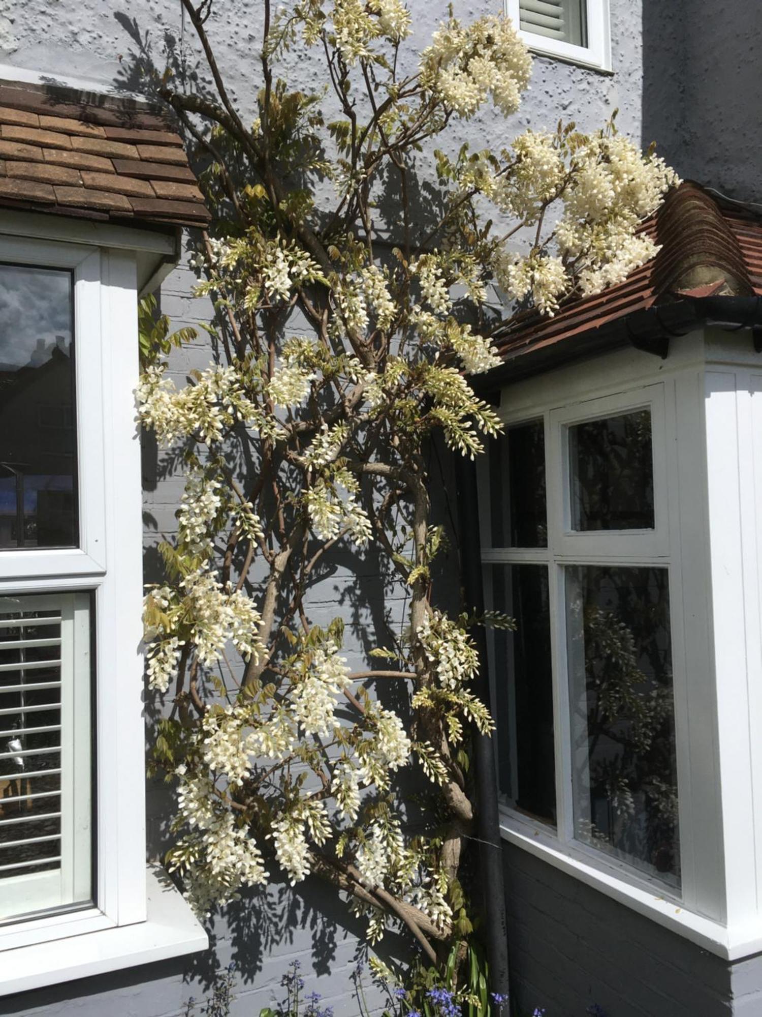95 Udimore Road Rye Exterior foto